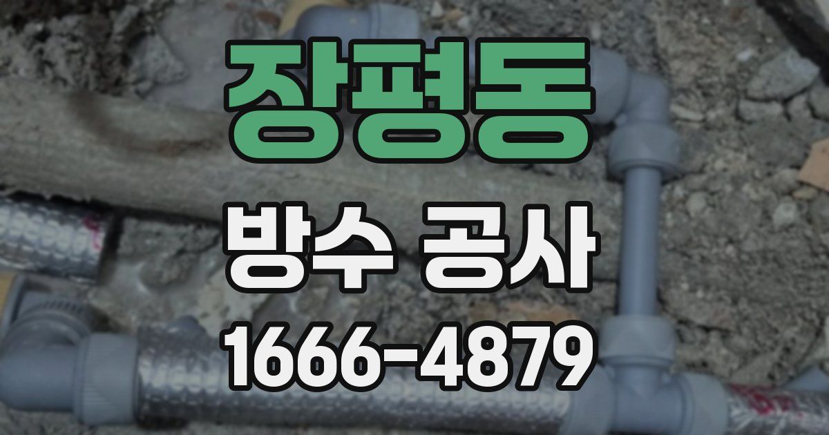 장평동 방수 공사