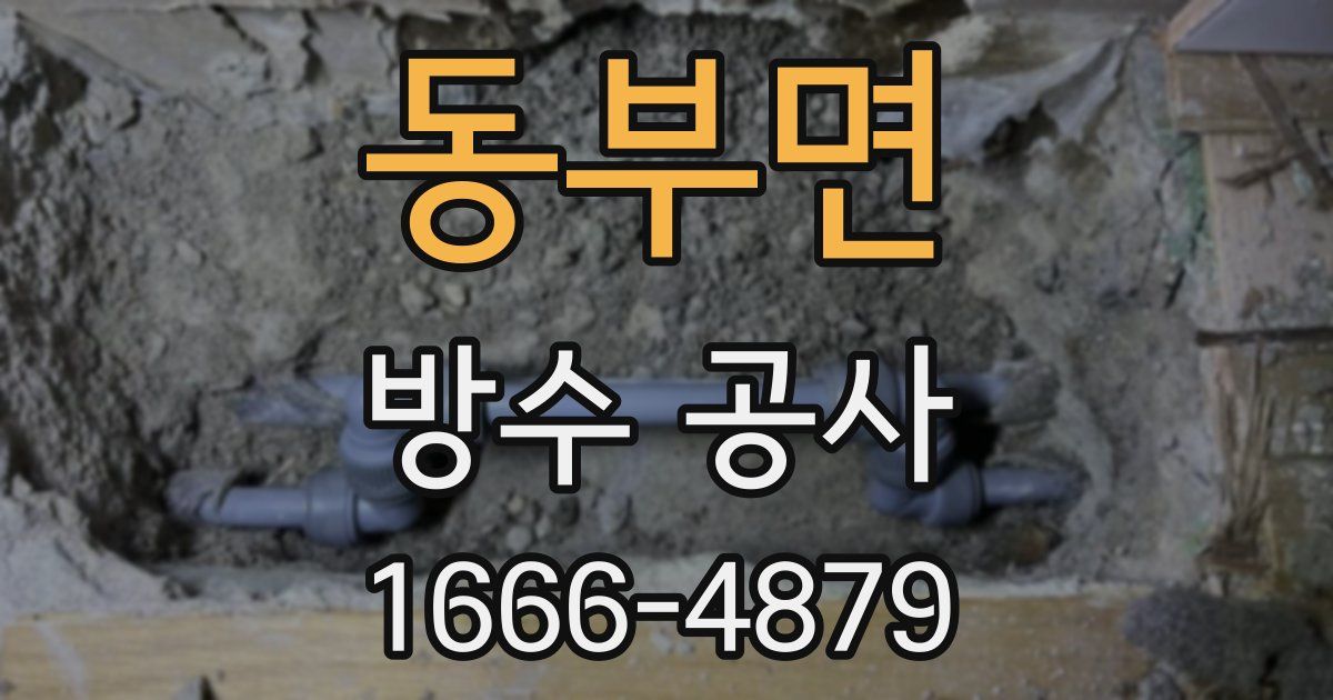 동부면 방수 공사