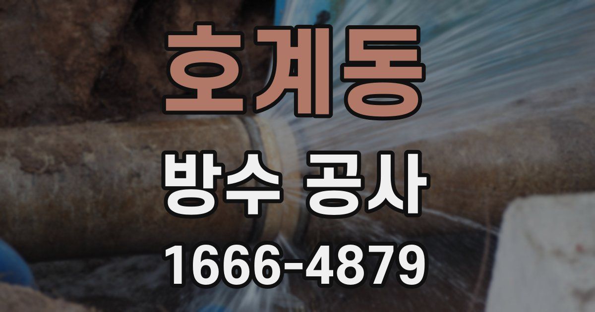 호계동 방수 공사