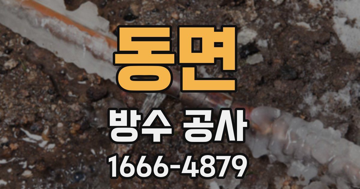 동면 방수 공사