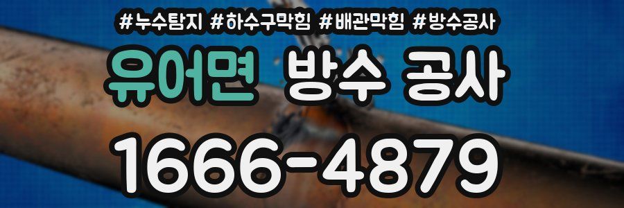 유어면 방수 공사