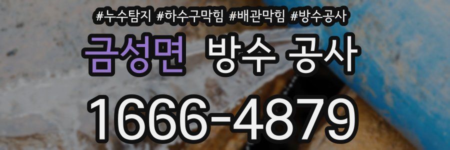 금성면 방수 공사