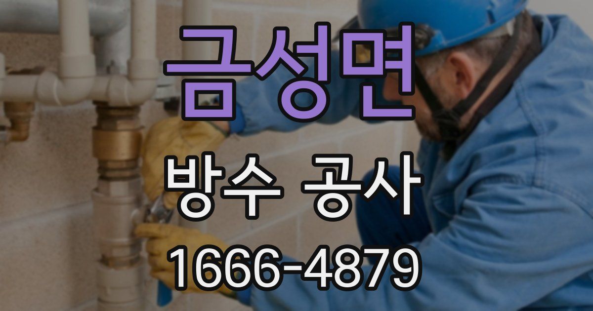 금성면 방수 공사