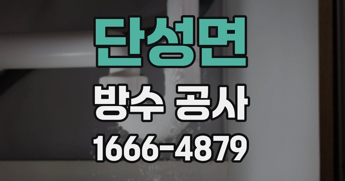단성면 방수 공사