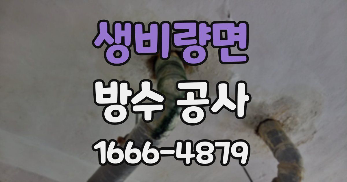 생비량면 방수 공사