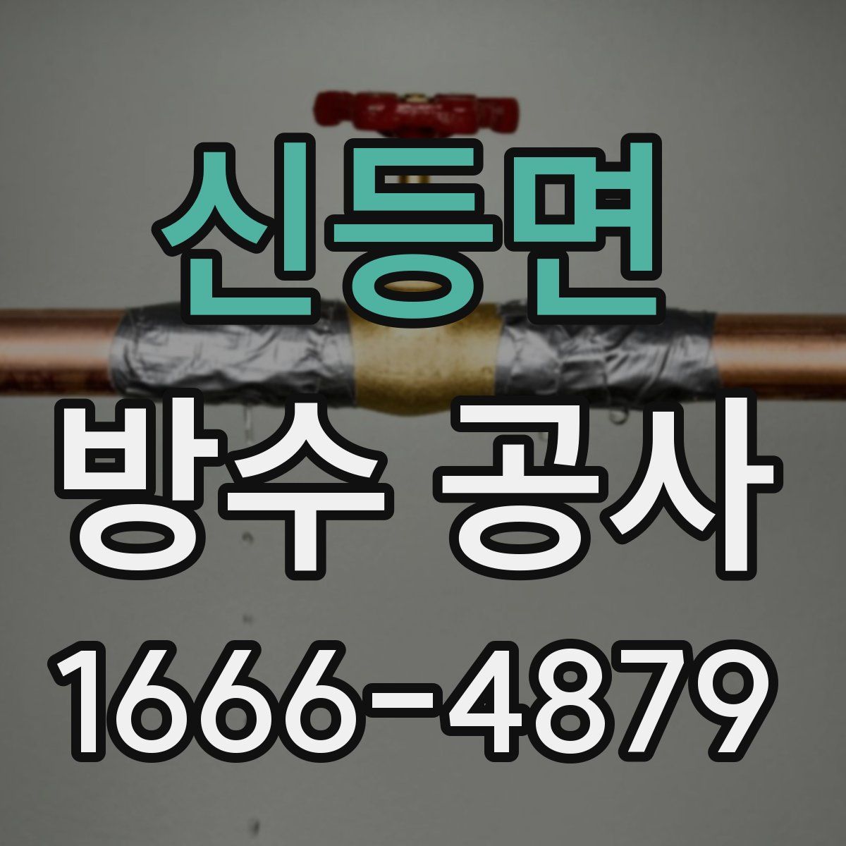 신등면 방수 공사