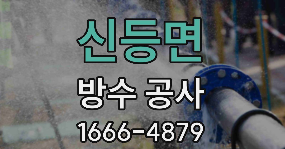 신등면 방수 공사