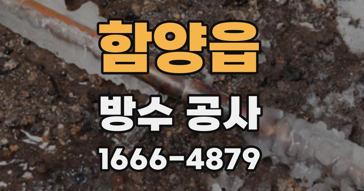 함양읍 방수 공사