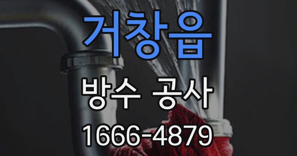 거창읍 방수 공사