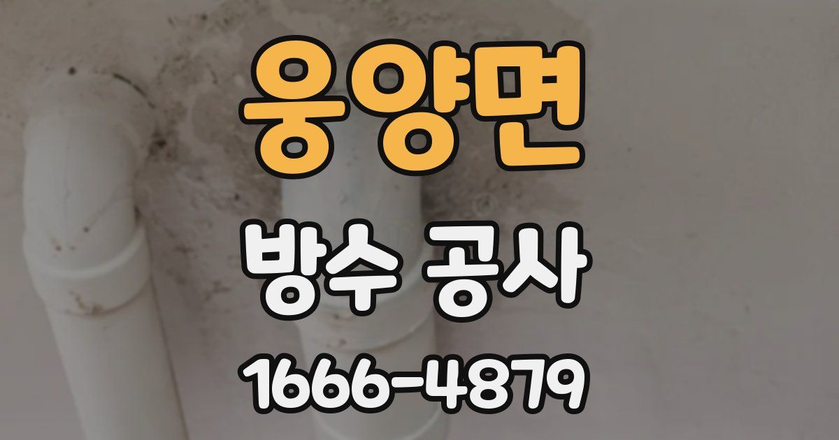 웅양면 방수 공사