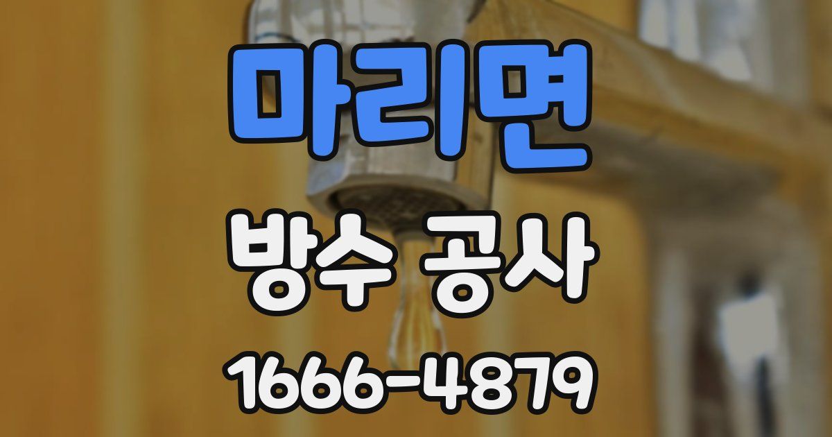 마리면 방수 공사