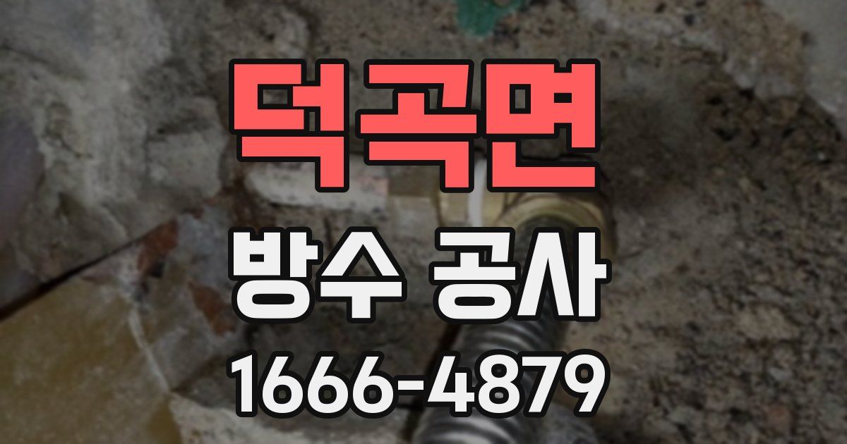 덕곡면 방수 공사