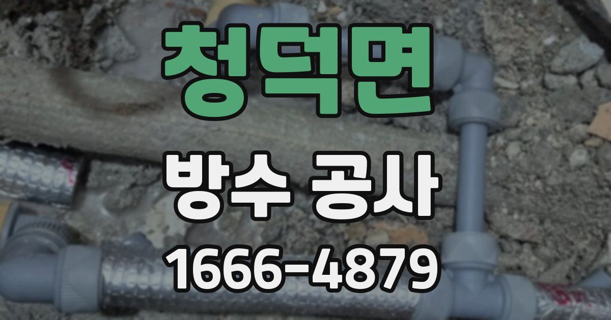 청덕면 방수 공사