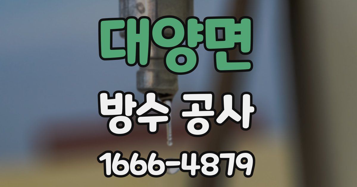 대양면 방수 공사