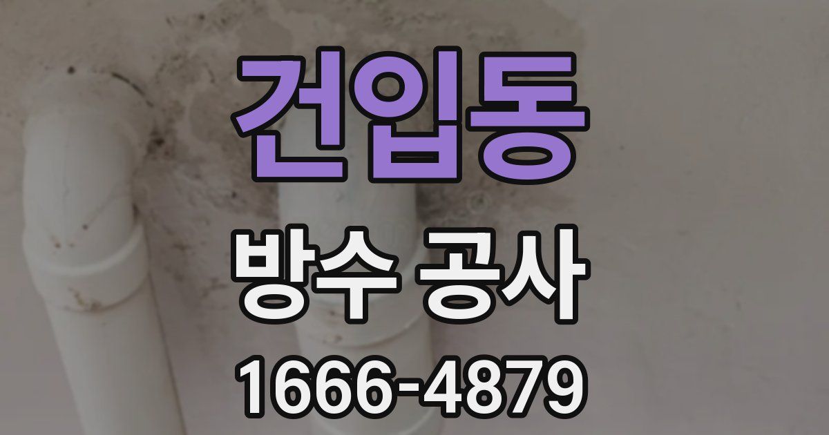 건입동 방수 공사