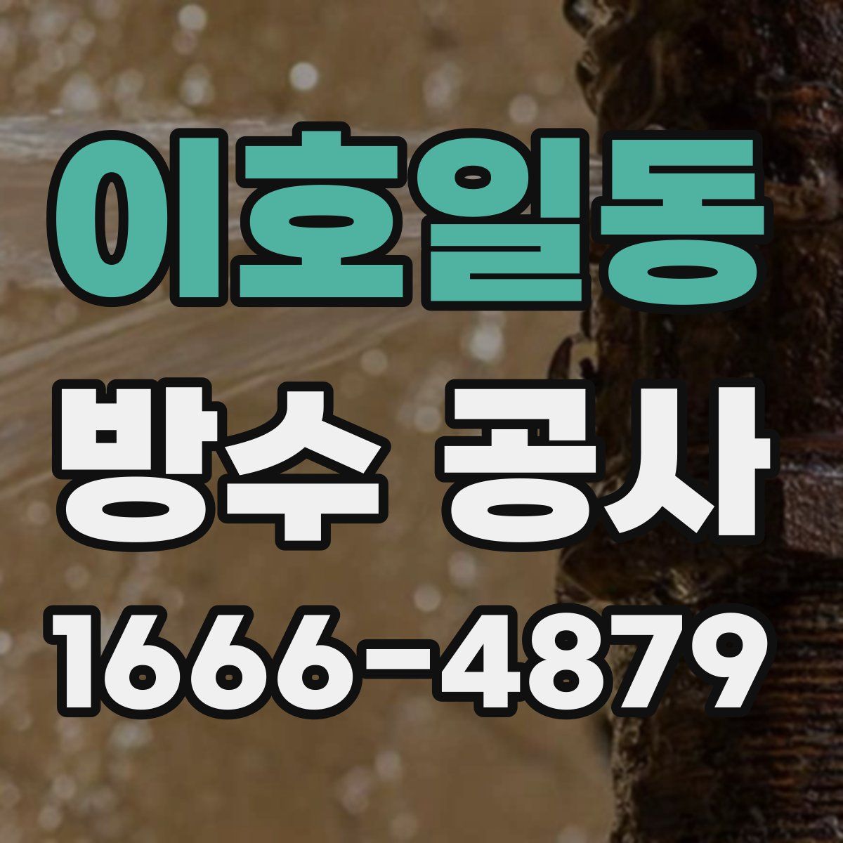 이호일동 방수 공사