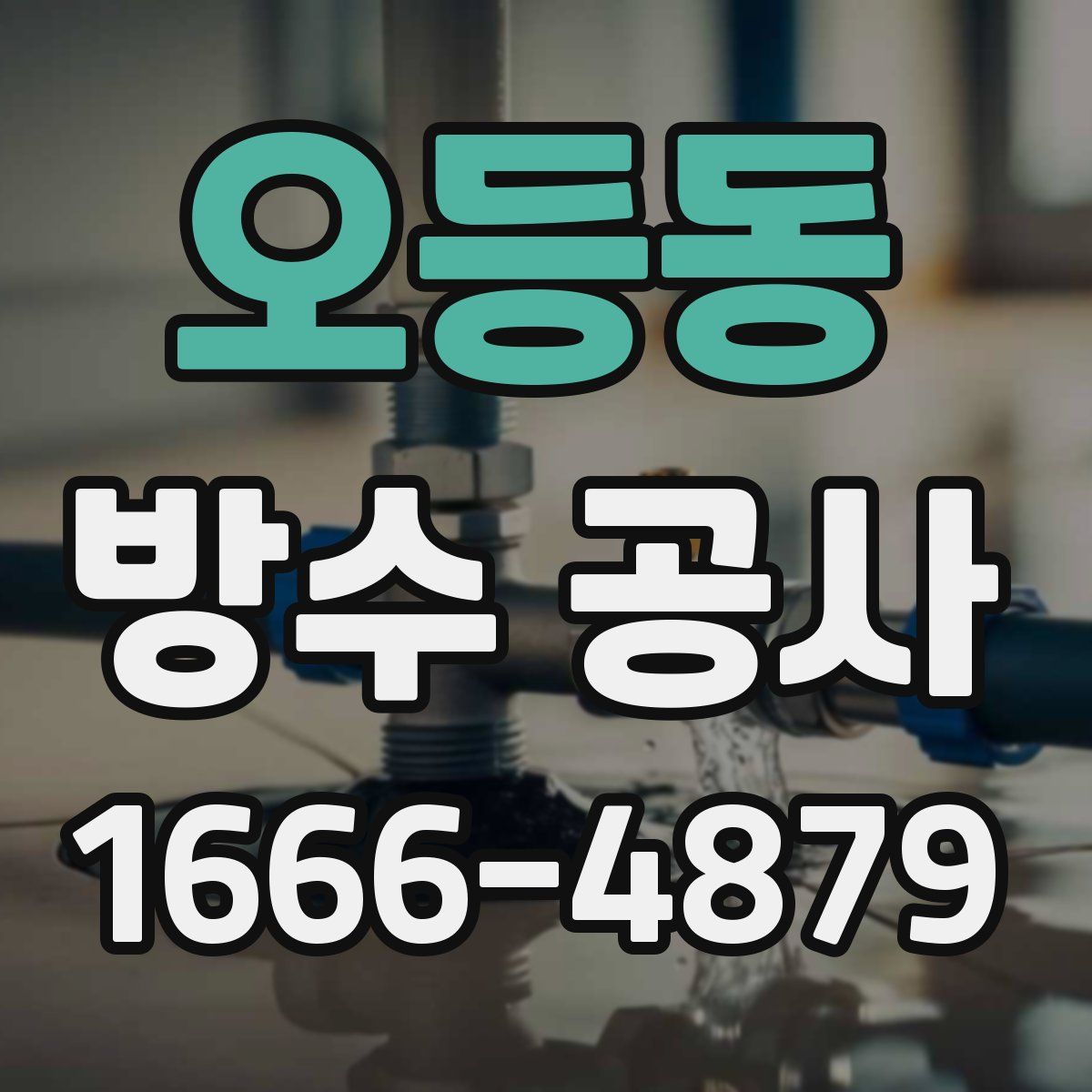 오등동 방수 공사