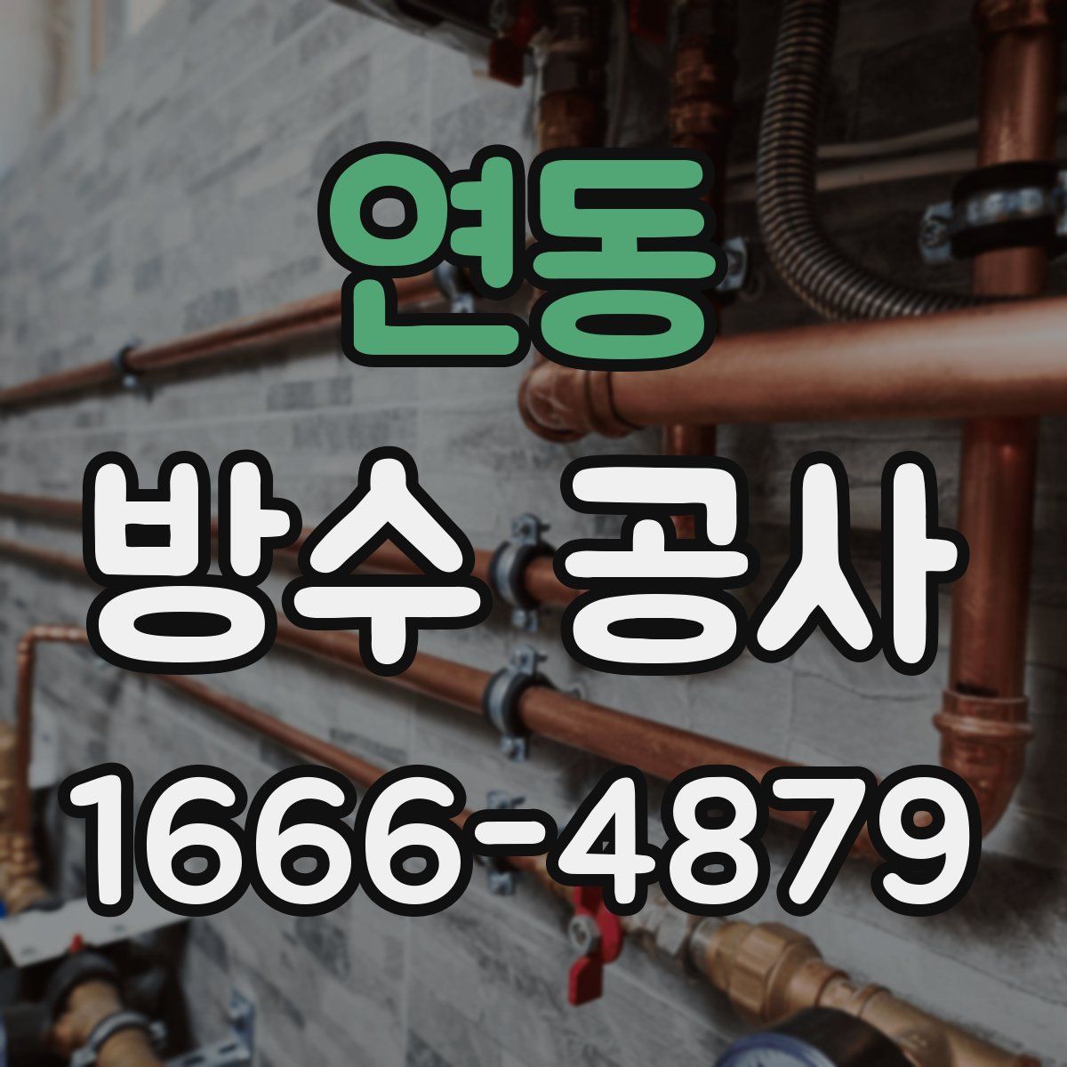 연동 방수 공사