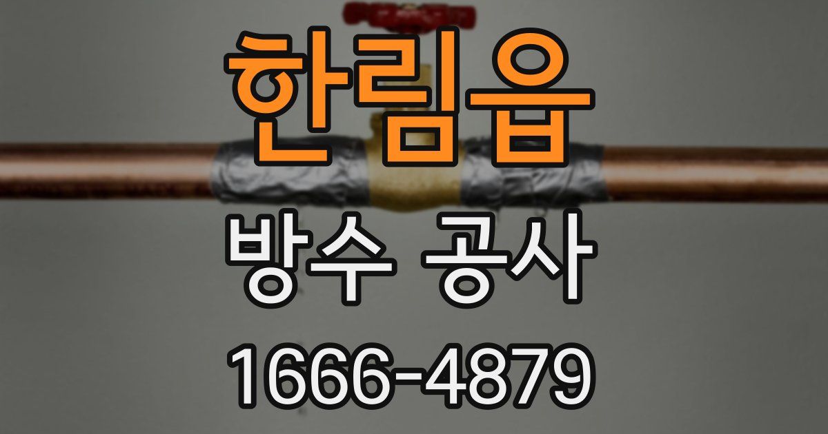 한림읍 방수 공사