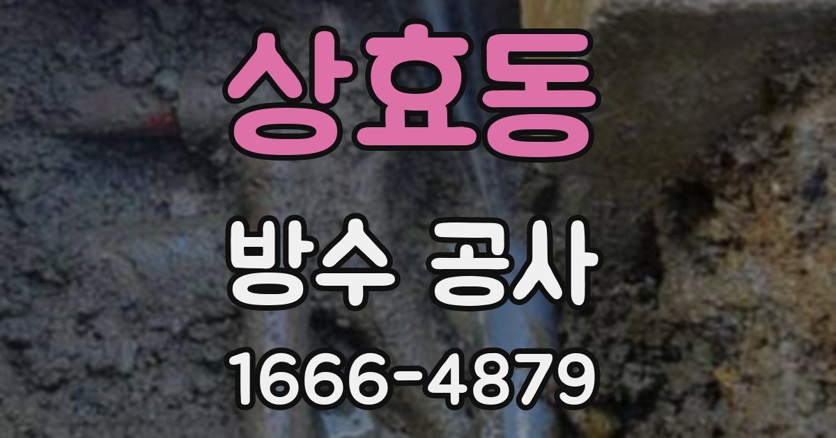상효동 방수 공사