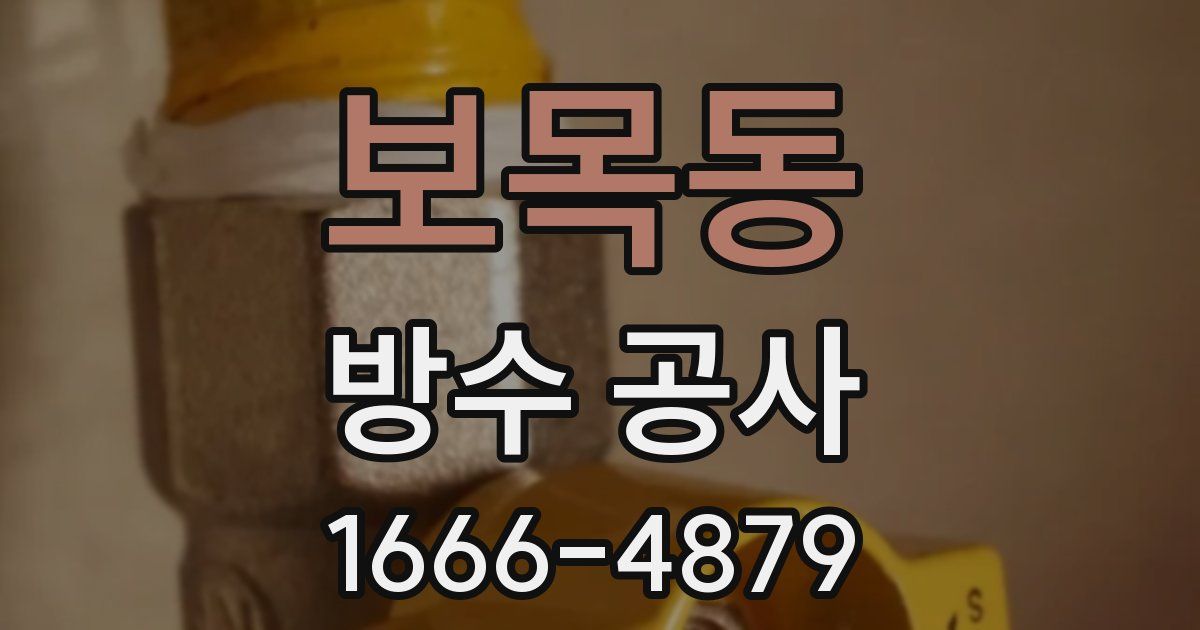 보목동 방수 공사