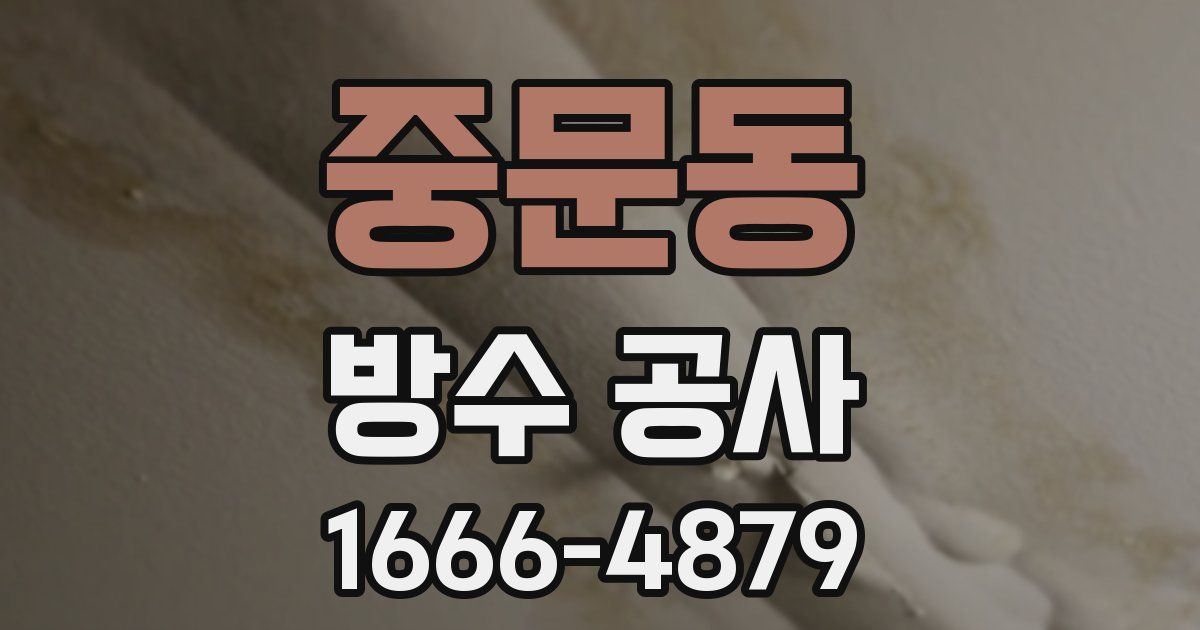 중문동 방수 공사