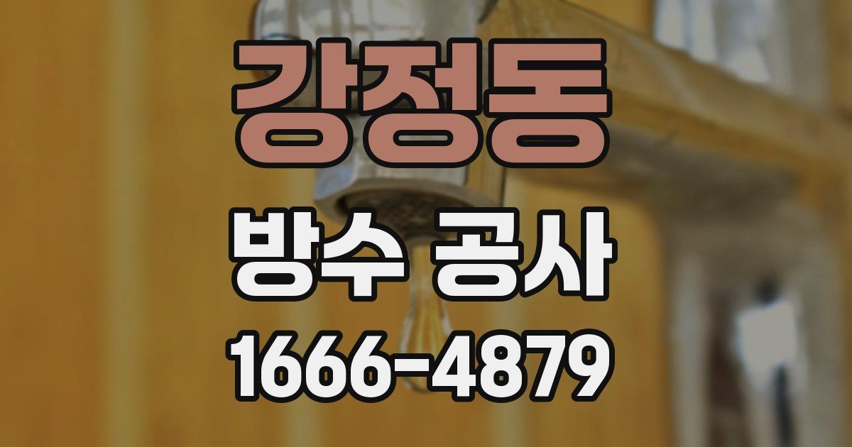 강정동 방수 공사