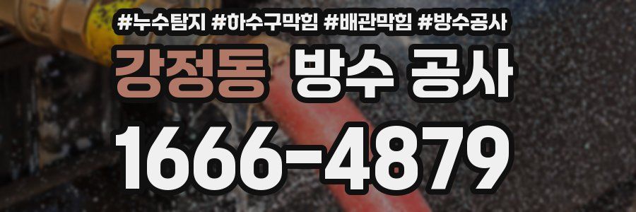 강정동 방수 공사