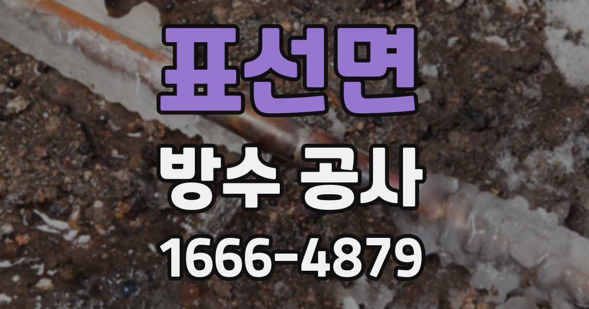 표선면 방수 공사
