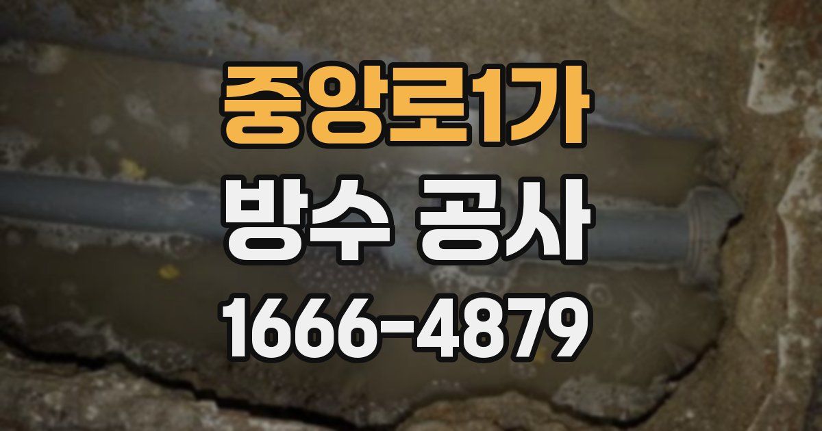 중앙로1가 방수 공사