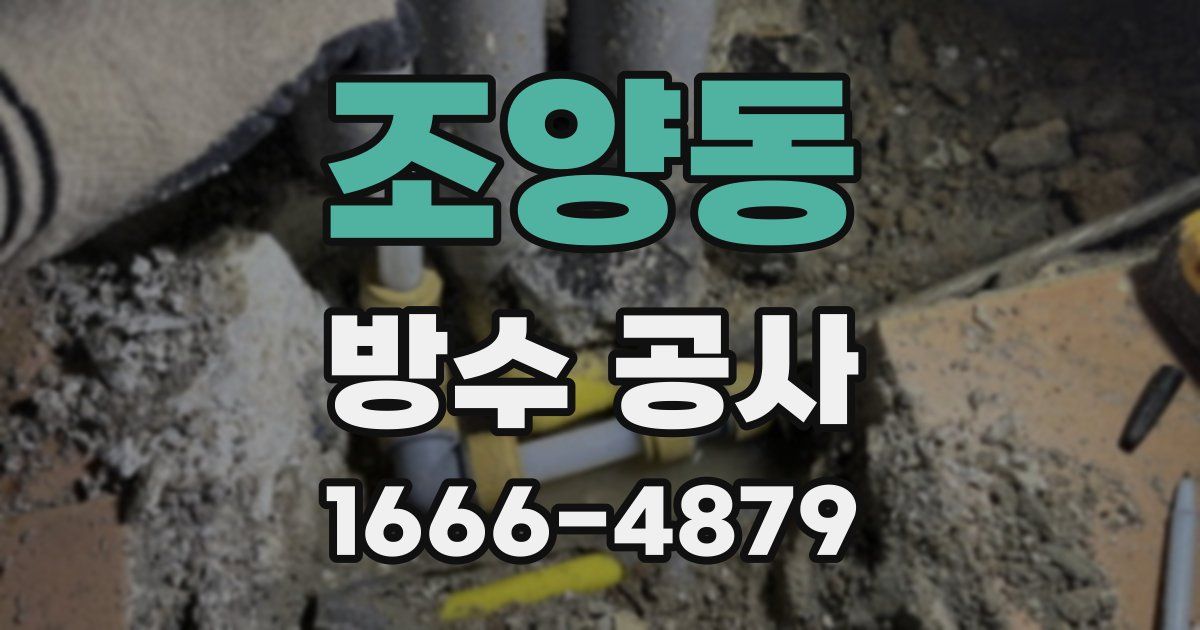 조양동 방수 공사