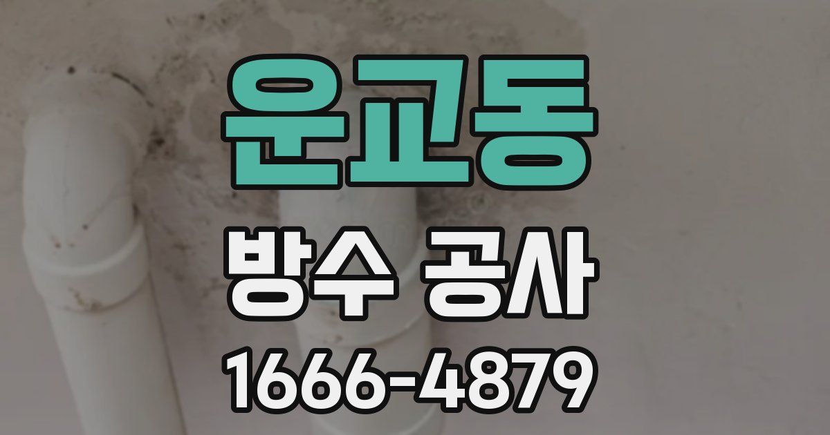 운교동 방수 공사