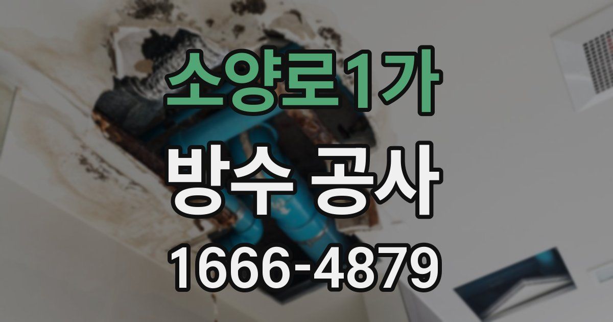 소양로1가 방수 공사
