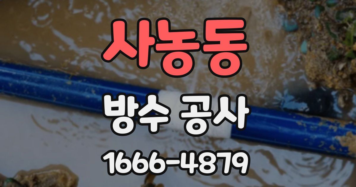 사농동 방수 공사
