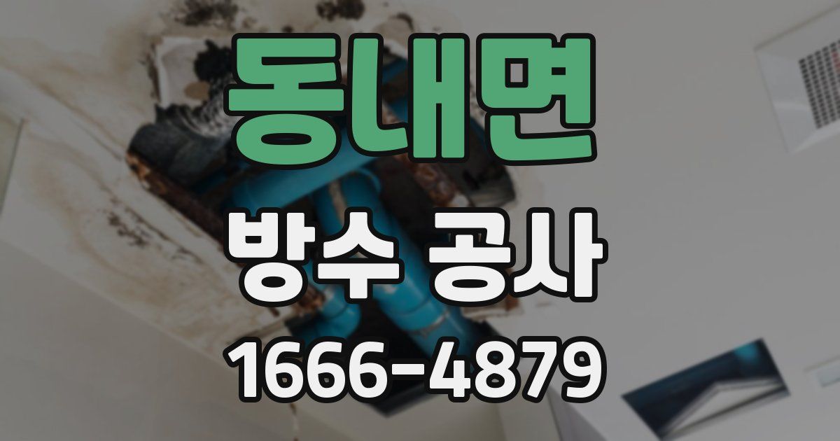 동내면 방수 공사
