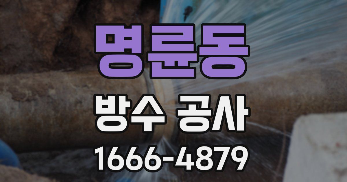 명륜동 방수 공사