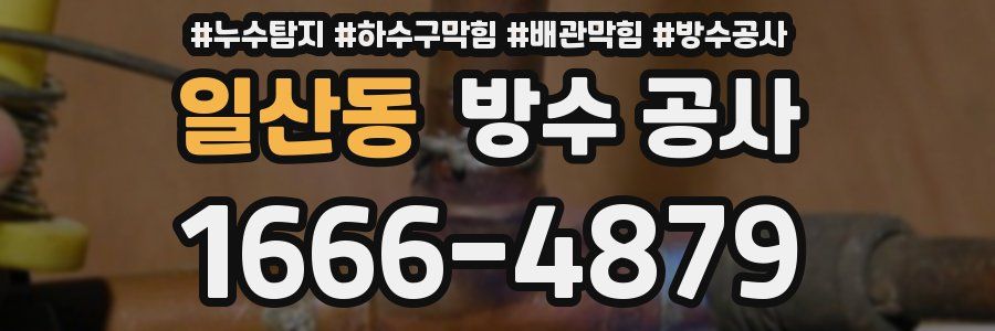 일산동 방수 공사