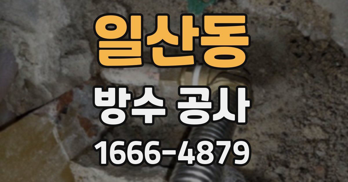 일산동 방수 공사