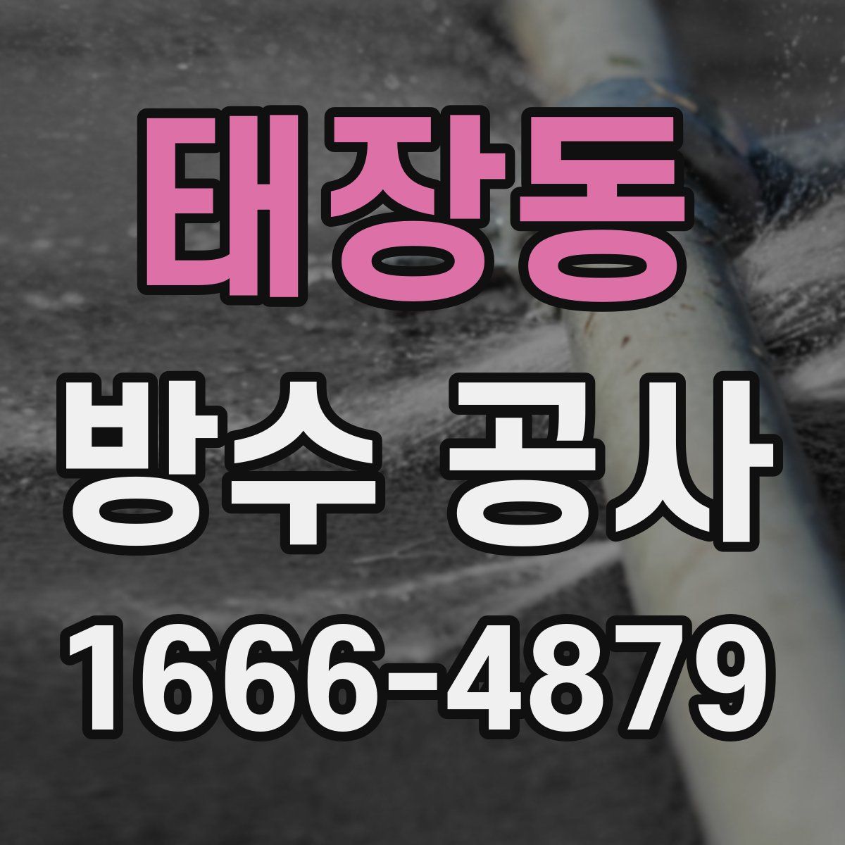 태장동 방수 공사
