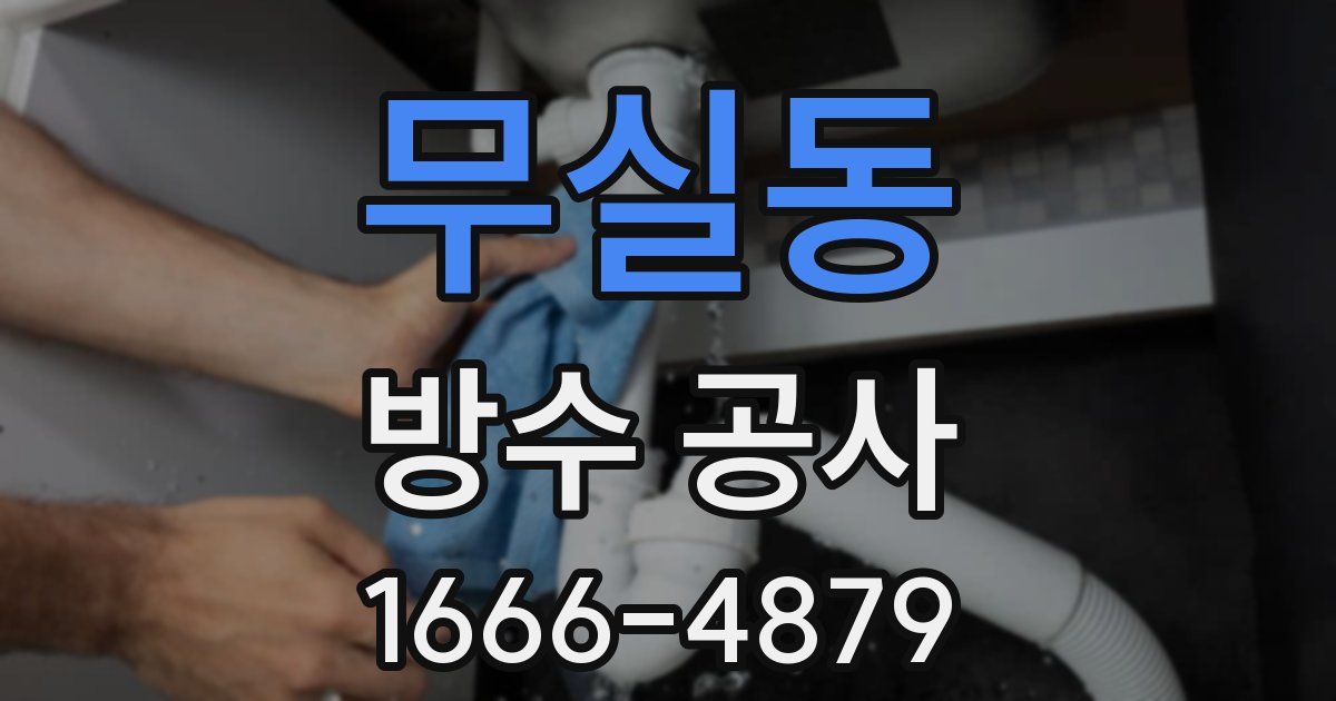 무실동 방수 공사