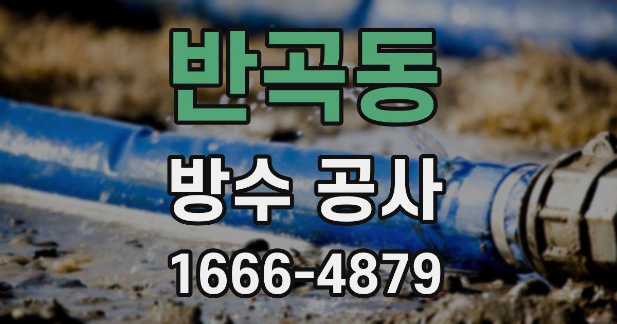 반곡동 방수 공사