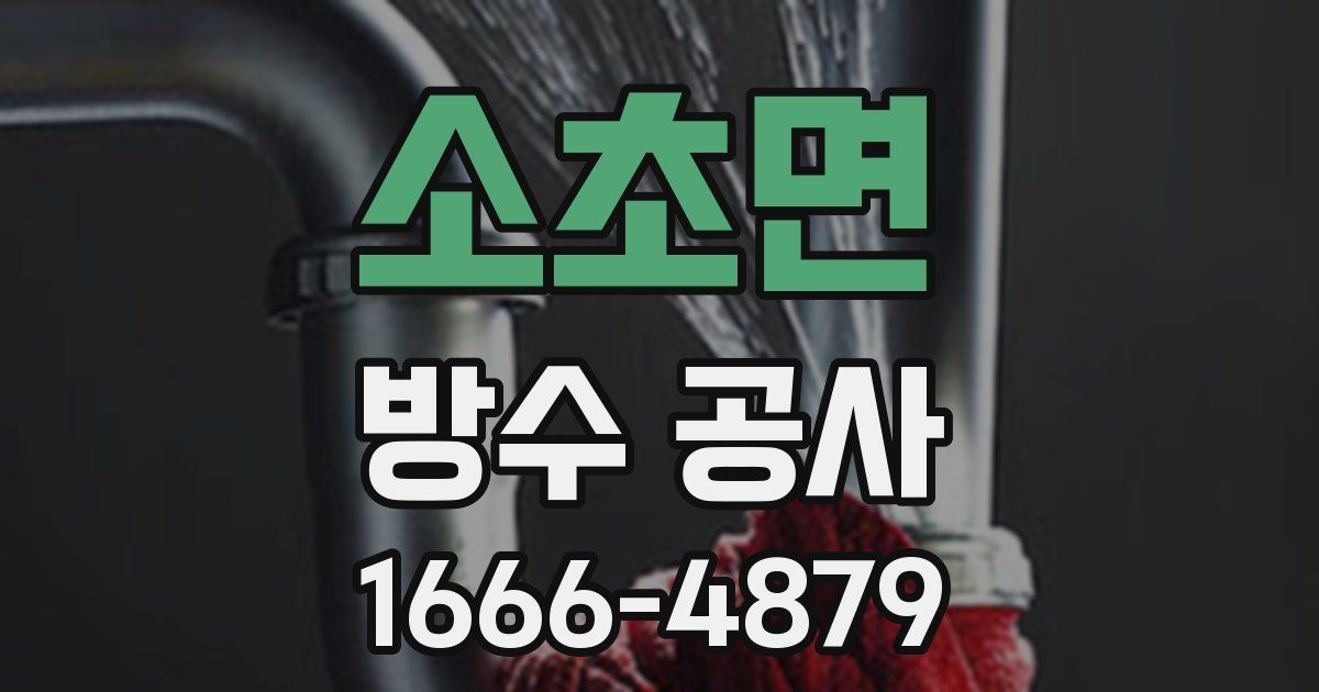 소초면 방수 공사