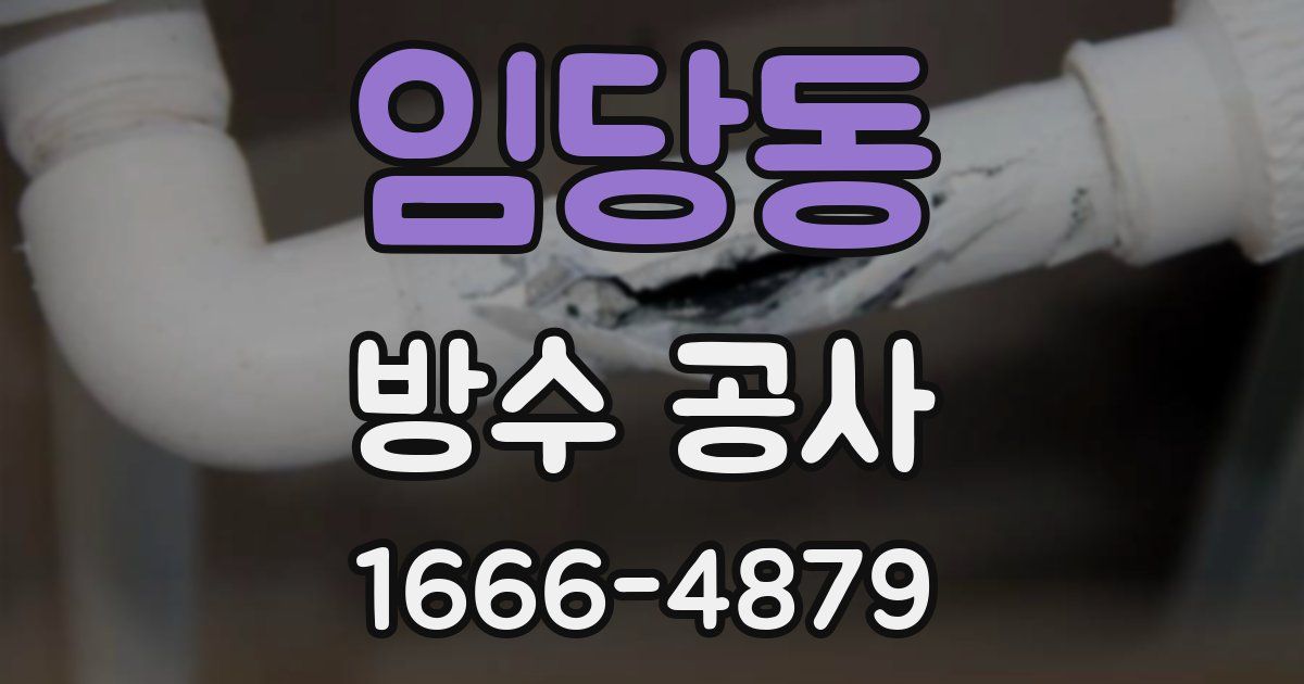 임당동 방수 공사