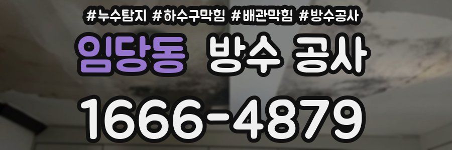 임당동 방수 공사