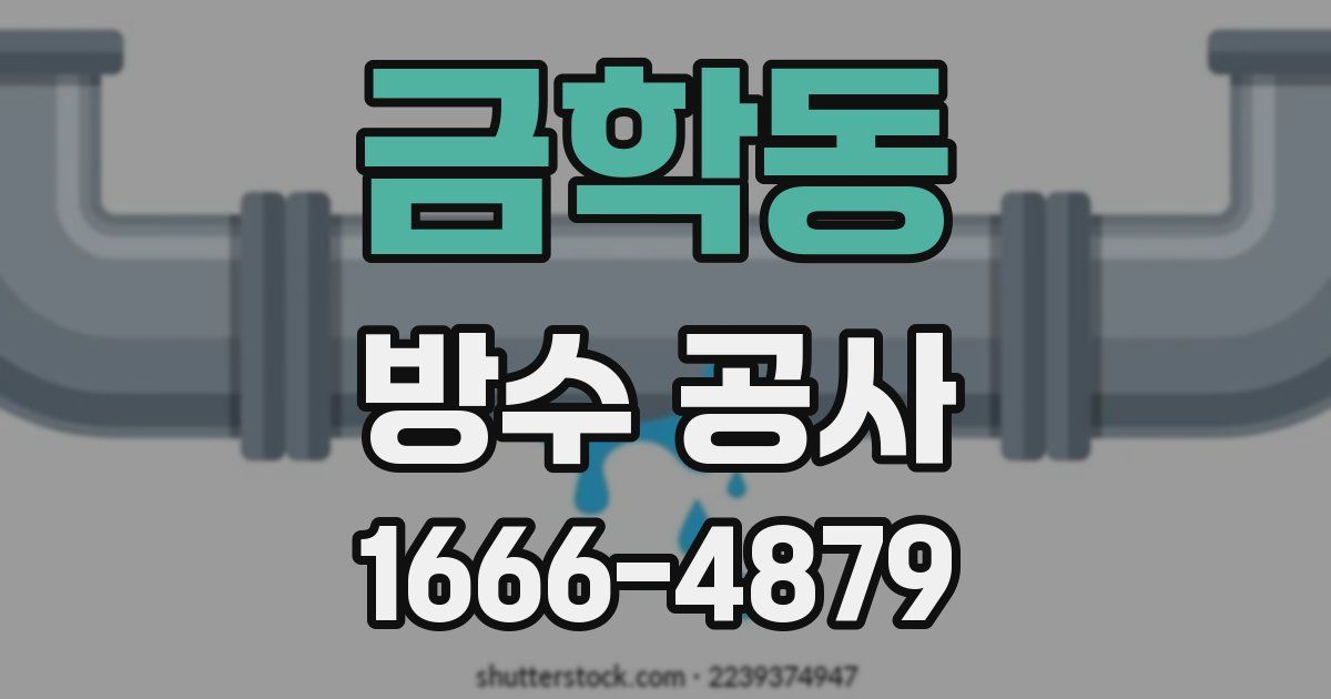금학동 방수 공사