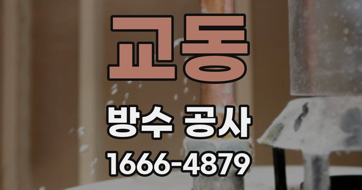 교동 방수 공사