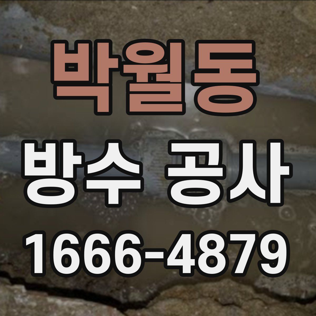 박월동 방수 공사