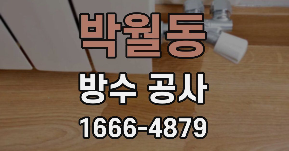 박월동 방수 공사