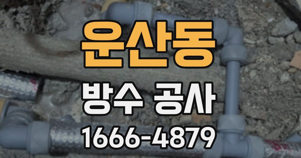 운산동 방수 공사