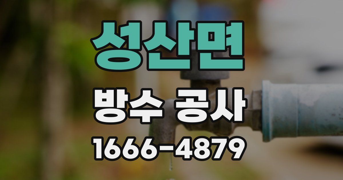 성산면 방수 공사
